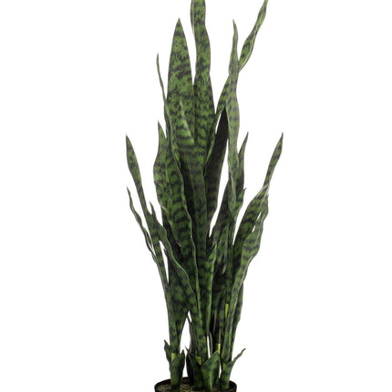 kunstplant-sanseveria-black-coral-vrouwentong-97-cm