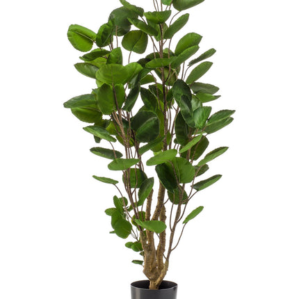 kunstplant-polyscias-aralia-105-cm