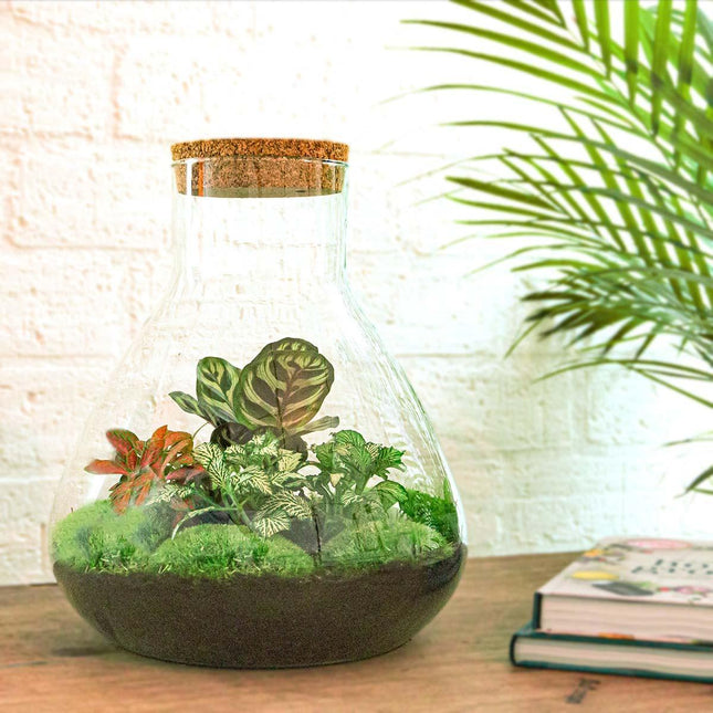 diy-terrarium-sam-xl-rood-↕-35-cm-rake-shovel-tweezer-scissors