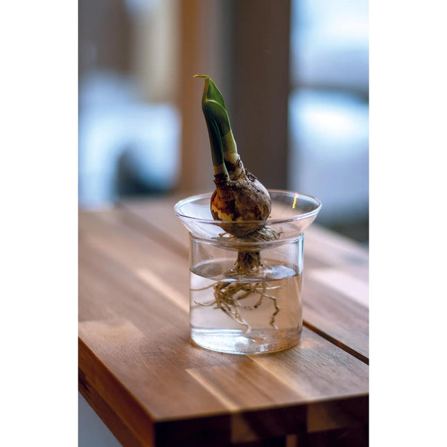 propagation-vase-m-o-9-cm-↕-11-5-cm