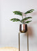 monstera-deliciosa-kunstplant-85-cm