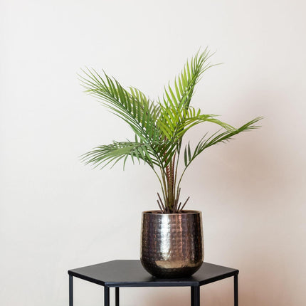 kunstplant-chamaedorea-bergpalm-50-cm