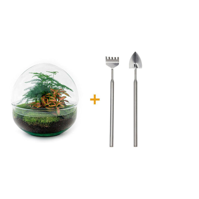 diy-terrarium-dome-red-↕-20-cm-rake-shovel
