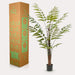 kunstplant-rumohra-adiantiformis-ledervaren-150-cm