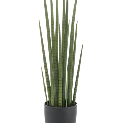 kunstplant-sanseveria-cylindrica-vrouwentong-70-cm