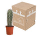 pachycereus-pringlei-17cm-zonder-pot