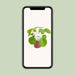 pilea-peperomioides-o13cm-↕20cm