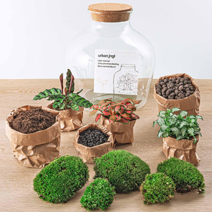 diy-terrarium-fat-joe-rood-↕-30-cm-rake-shovel