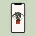 alocasia-polly-o17cm-↕45cm