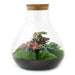diy-terrarium-sam-xl-rood-↕-35-cm-normal