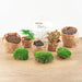 diy-terrarium-dome-red-↕-20-cm-normal