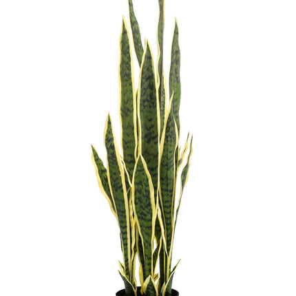 kunstplant-sanseveria-trifasciata-vrouwentong-97-cm