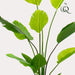 kunstplant-strelitzia-nicolai-paradijsvogelbloem-150-cm