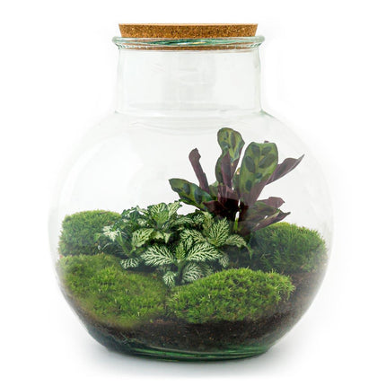diy-terrarium-teddy-↕-26-5-cm-rake-shovel-tweezer-scissors
