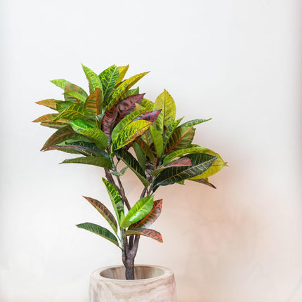 kunstplant-croton-codiaeum-wonderstruik-100-cm