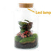 diy-terrarium-milky-calathea-with-light-↕-31-cm-rake-shovel-tweezer-scissors