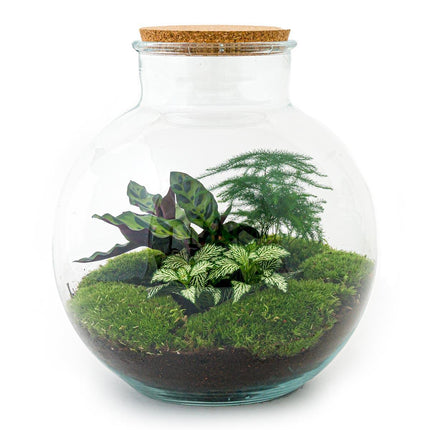 diy-terrarium-bolder-bob-↕-30-cm-rake-shovel-tweezer-scissors