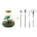 diy-terrarium-sammie-coffea-↕-27-cm-normal-1