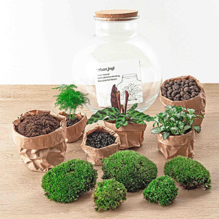 diy-terrarium-bolder-bob-↕-30-cm-normal