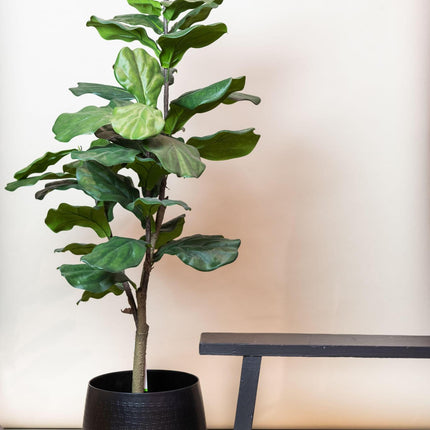 kunstplant-ficus-lyrata-tabaksplant-125-cm