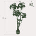 kunstplant-polyscias-aralia-140-cm
