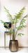 kunstplant-rumohra-adiantiformis-ledervaren-150-cm