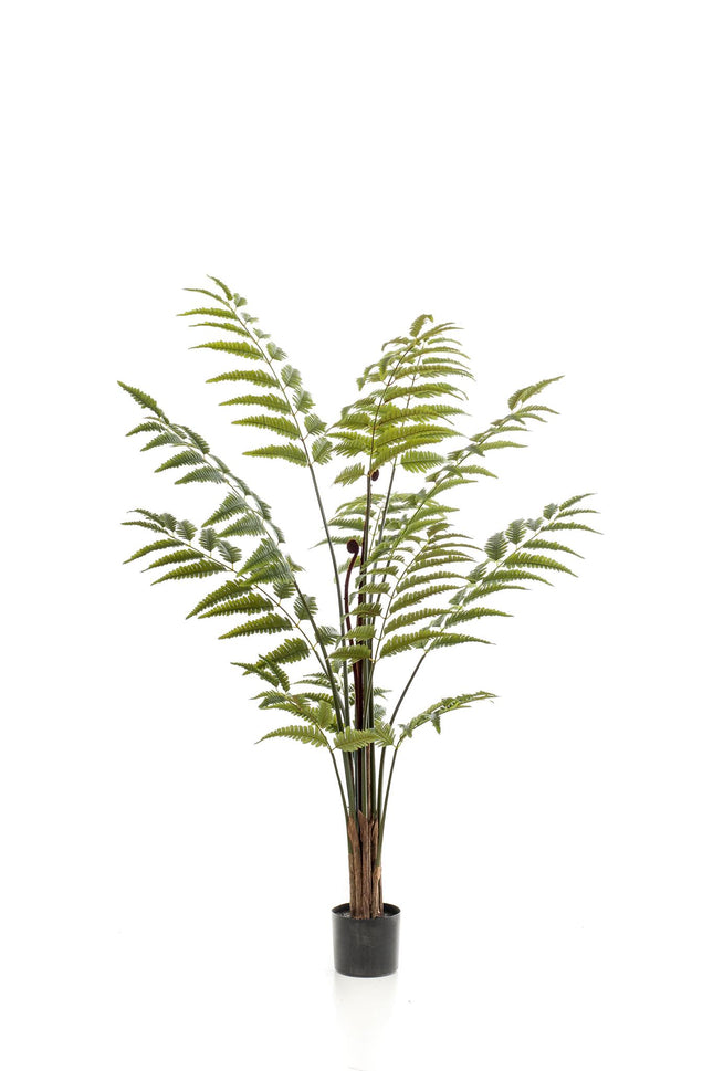 kunstplant-rumohra-adiantiformis-ledervaren-150-cm