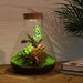 diy-terrarium-sam-calathea-with-light-↕-30-cm-normal