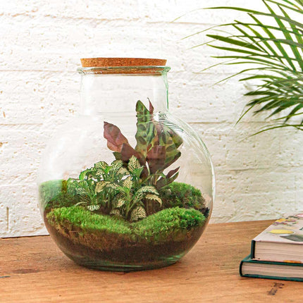 diy-terrarium-teddy-↕-26-5-cm-rake-shovel-tweezer-scissors