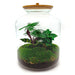 diy-terrarium-lukas-↕-33-cm-normal