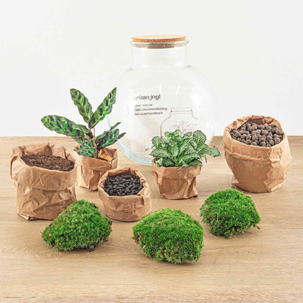 diy-terrarium-teddy-↕-26-5-cm-rake-shovel-tweezer-scissors